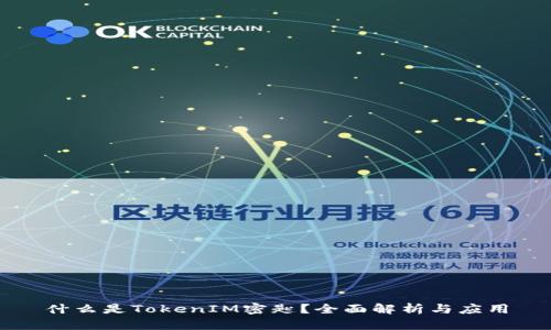 什么是TokenIM密匙？全面解析与应用