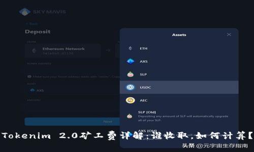 Tokenim 2.0矿工费详解：谁收取，如何计算？