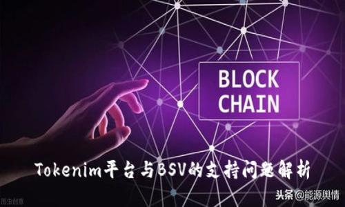 Tokenim平台与BSV的支持问题解析