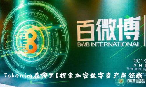 Tokenim在哪里？探索加密数字资产新领域
