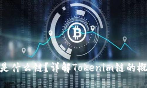 Tokenim是什么链？详解Tokenim链的概念与应用