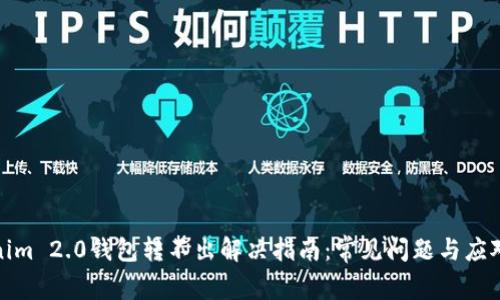 Tokenim 2.0钱包转不出解决指南：常见问题与应对策略