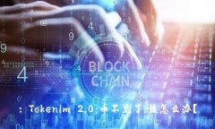 : Tokenim 2.0：币不见了，该怎么办？