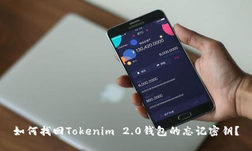 如何找回Tokenim 2.0钱包的忘记密钥？