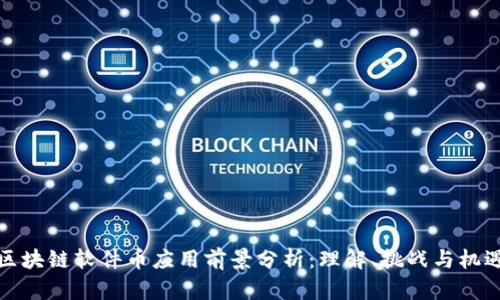 区块链软件币应用前景分析：理解、挑战与机遇