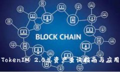 TokenIM 2.0总资产查询指南与应用