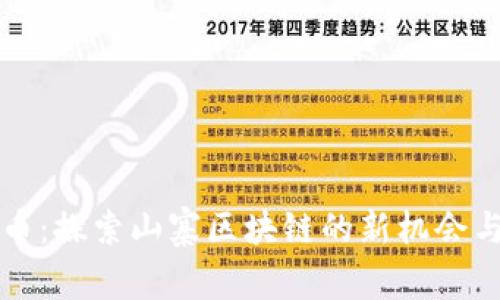 雷达币：探索山寨区块链的新机会与挑战