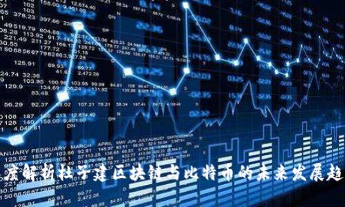 深度解析杜子建区块链与比特币的未来发展趋势