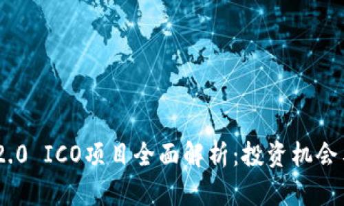 Tokenim 2.0 ICO项目全面解析：投资机会与风险分析