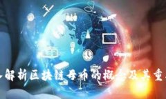 深入解析区块链母币的概念及其重要性