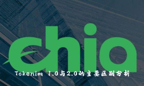 Tokenim 1.0与2.0的主要区别分析