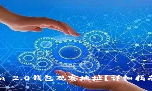 如何使用Tokenim 2.0钱包观察地址？详细指南与常见问题解答