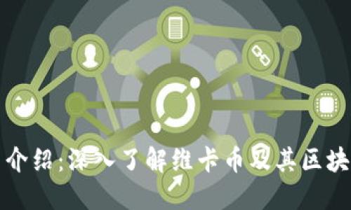 维卡币介绍：深入了解维卡币及其区块链属性