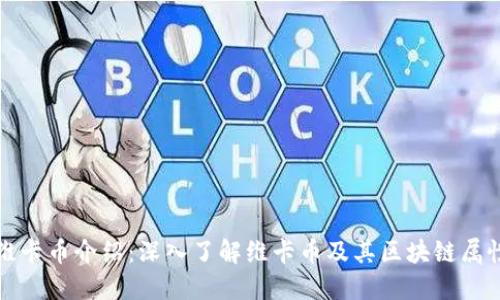 维卡币介绍：深入了解维卡币及其区块链属性