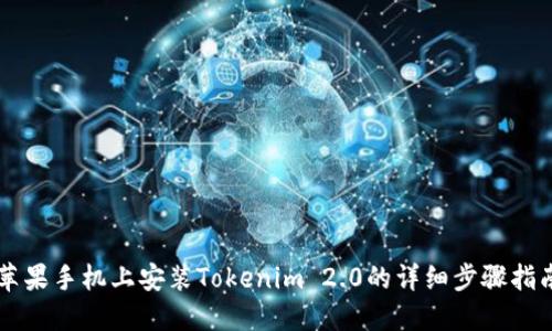 苹果手机上安装Tokenim 2.0的详细步骤指南