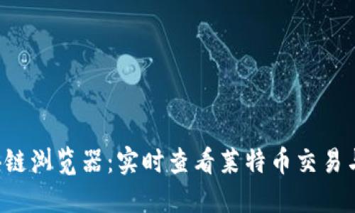 LTC币区块链浏览器：实时查看莱特币交易与区块信息