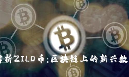 深入解析ZILD币：区块链上的新兴数字货币
