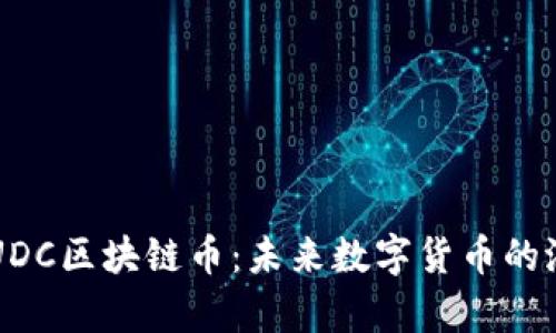深入解析UDC区块链币：未来数字货币的潜力与应用