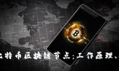 深入探究比特币区块链节点：工作原理、类型与
