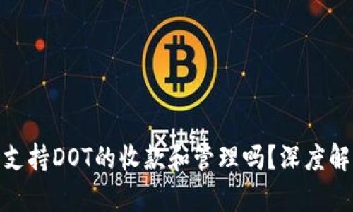 Tokenim 2.0支持DOT的收款和管理吗？深度解析与实用指南