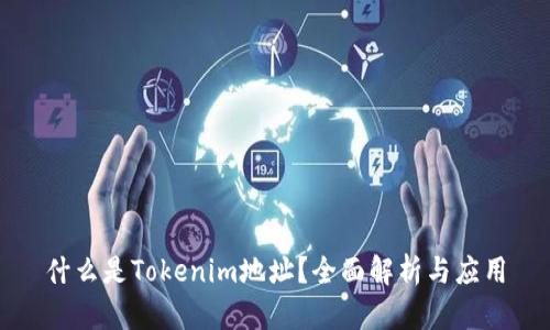 什么是Tokenim地址？全面解析与应用