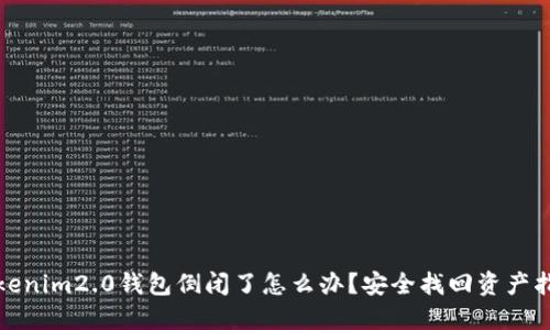 tokenim2.0钱包倒闭了怎么办？安全找回资产指南