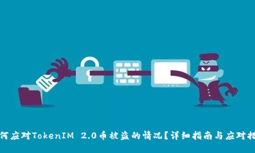 如何应对TokenIM 2.0币被盗的情况？详细指南与应对措施
