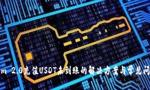 Tokenim 2.0充值USDT未到账的解决方案与常见问题解析