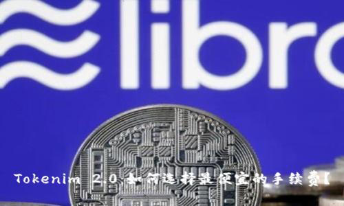 Tokenim 2.0：如何选择最便宜的手续费？