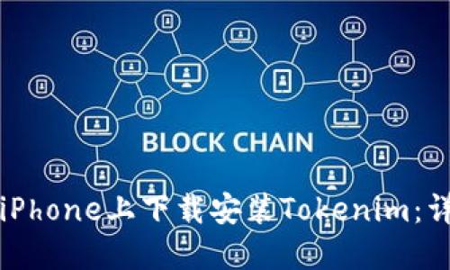 如何在iPhone上下载安装Tokenim：详细指南
