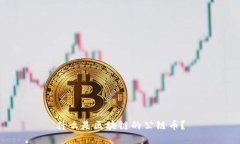 什么是区块链的公链币？