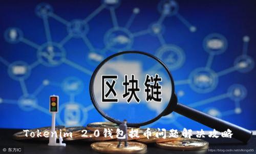 Tokenim 2.0钱包提币问题解决攻略