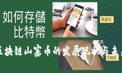 国产区块链山寨币的发展现状与未来趋势