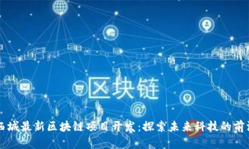 西城最新区块链项目开发：探索未来科技的前沿