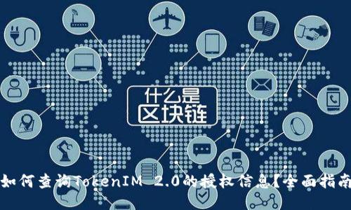 如何查询TokenIM 2.0的授权信息？全面指南