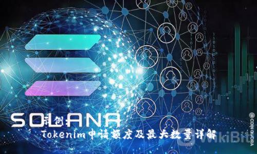 示例:
Tokenim申请额度及最大数量详解