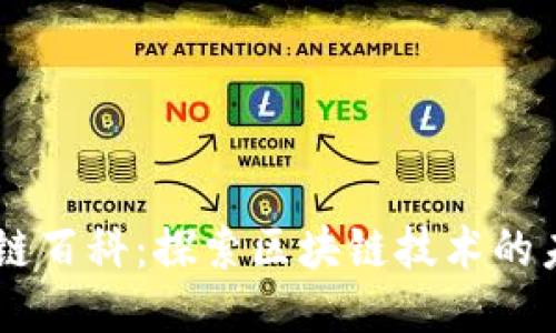 币优区块链百科：探索区块链技术的未来与应用