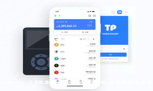 解决Tokenim 2.0收款后余额未显示的问题：全面解析与应对策略