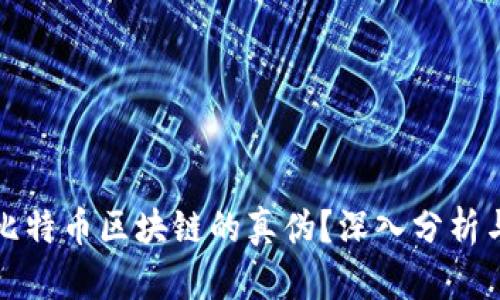 如何验证比特币区块链的真伪？深入分析与实用指南