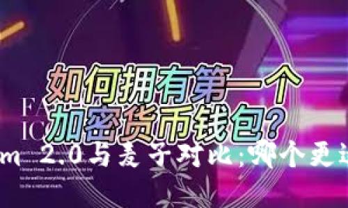 Tokenim 2.0与麦子对比：哪个更适合你？