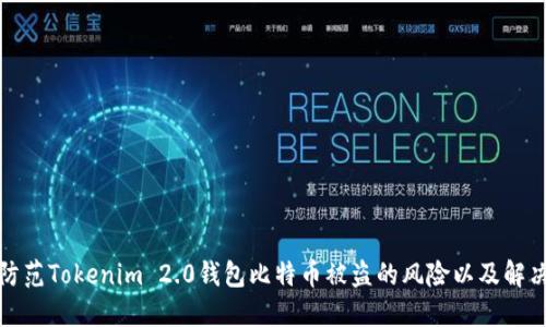 如何防范Tokenim 2.0钱包比特币被盗的风险以及解决方案