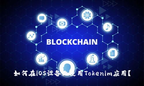 如何在iOS设备上使用Tokenim应用？