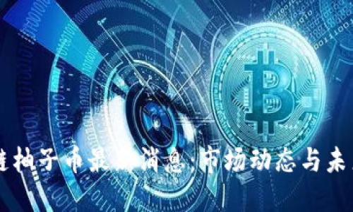 区块链柚子币最新消息：市场动态与未来展望