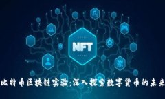 比特币区块链实验：深入探索数字货币的未来