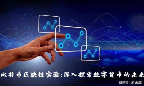 比特币区块链实验：深入探索数字货币的未来