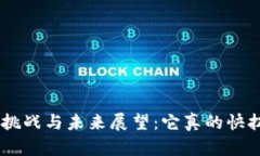 Tokenim的挑战与未来展望：它真的快扛不住了吗？