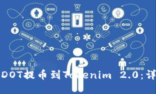 如何将DOT提币到Tokenim 2.0：详细指南