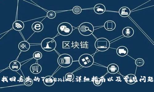 如何找回丢失的Tokenim：详细指南以及常见问题解答