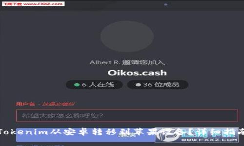 如何将Tokenim从安卓转移到苹果设备？详细指南与技巧