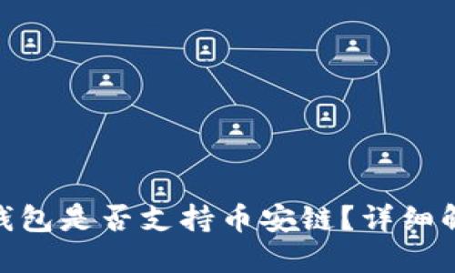 Tokenim 2.0钱包是否支持币安链？详细解读与用户指南